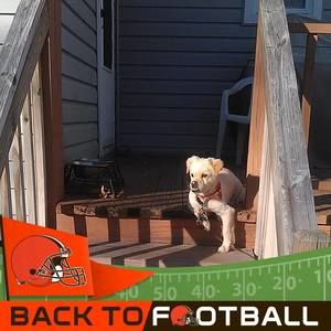 Meet your Posher, Lewis